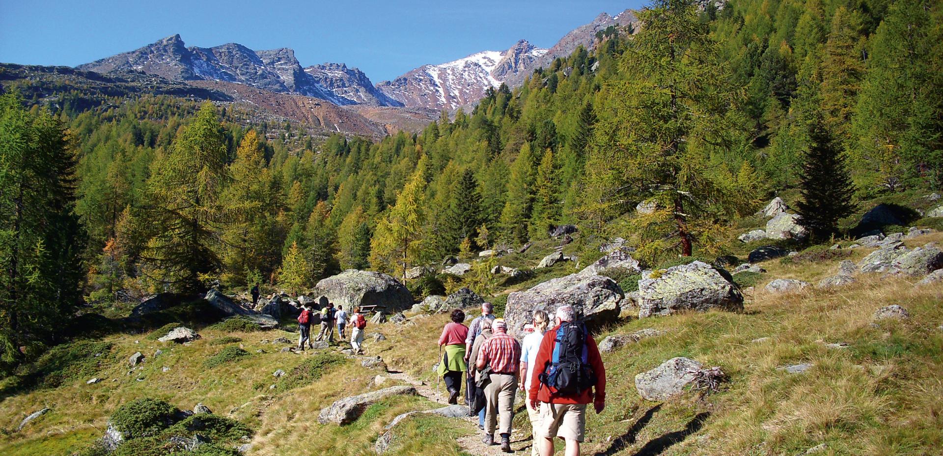 Guided hike in Ultental