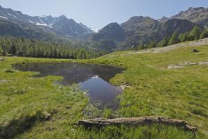 Lago di montagna