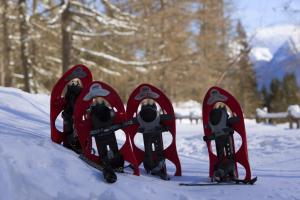 Snow shoes