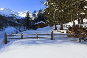 paesaggio invernale in Alto Adige