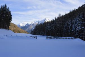 Schneelandschaft Ulten