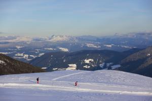 Skiresort Schwemmalm