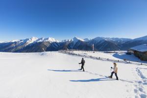 panoramic view of the alps