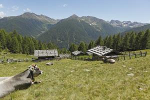 Kaserfeld mountai hut