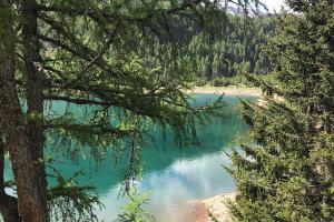 Weißbrunnsee im Frühling