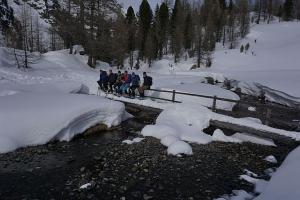 Snow shoe hike