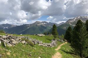 Panorama delle malghe