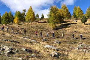 geführte Wanderung