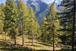 Val d'Ultimo in autunno