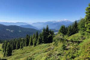 sulla via al monte Cornicolo