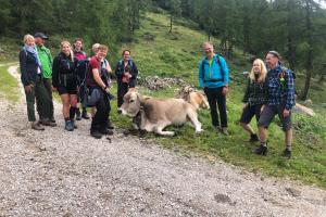 On the vay to Kessel Mountain Hut