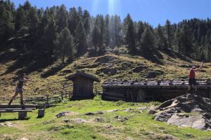 Seegrubenalm