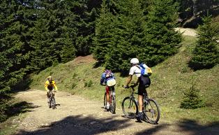 Radtouren in Südtirol