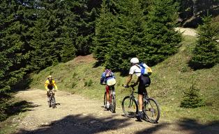 Tour in bicicletta in Alto Adige