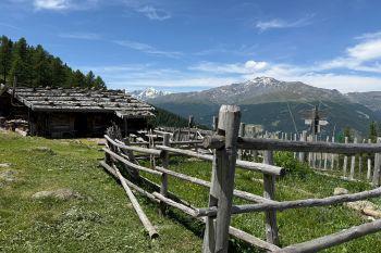Escursione guidata sulle malghe della Val d'Ultimo