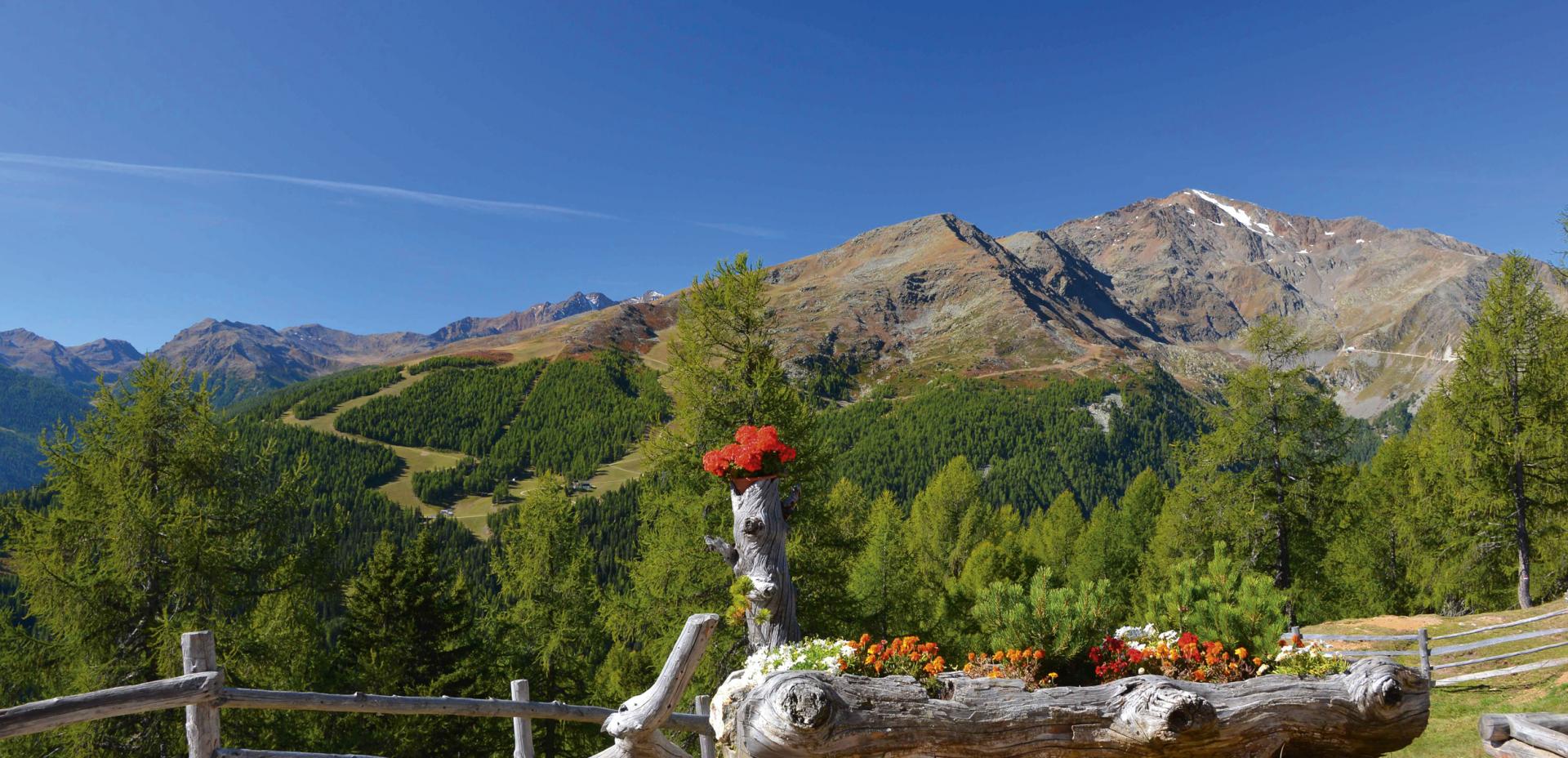 Vista dalla malga Riemer Bergl Alm